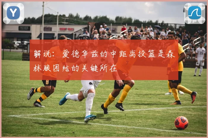 解说：爱德华兹的中距离投篮是森林狼团结的关键所在