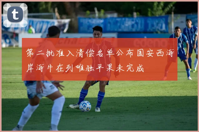 第二批准入清偿名单公布国安西海岸海牛在列唯独平果未完成