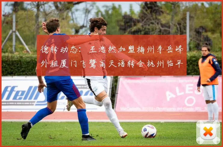 德转动态：王浩然加盟梅州李岳峰外租厦门飞鹭高天语转会杭州临平吴越