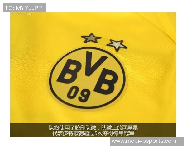 2025年欧洲足球俱乐部场均上座数排行榜揭晓多特蒙德名列第一